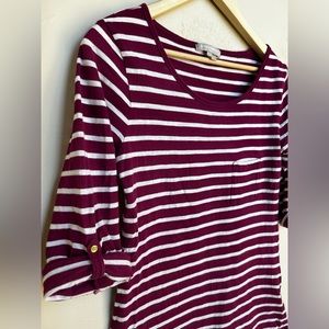 Banana Republic Top Maroon & White Stripes